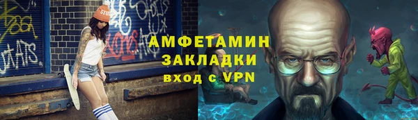 индика Богородицк