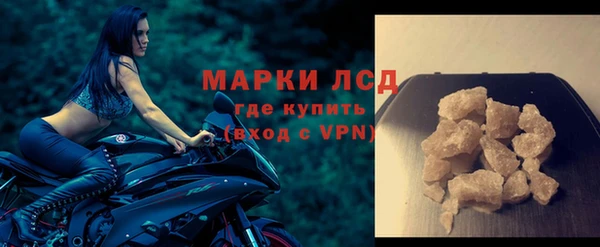индика Богородицк
