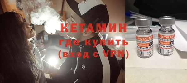 индика Богородицк