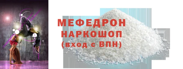 индика Богородицк