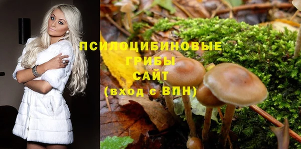 метадон Белоозёрский